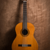 Acoustic Guitars
