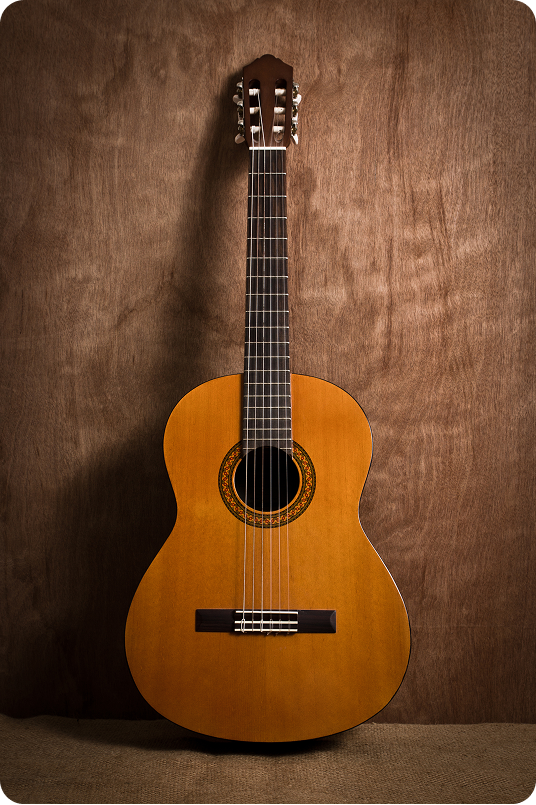 Acoustic Guitars