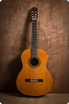 Acoustic Guitars
